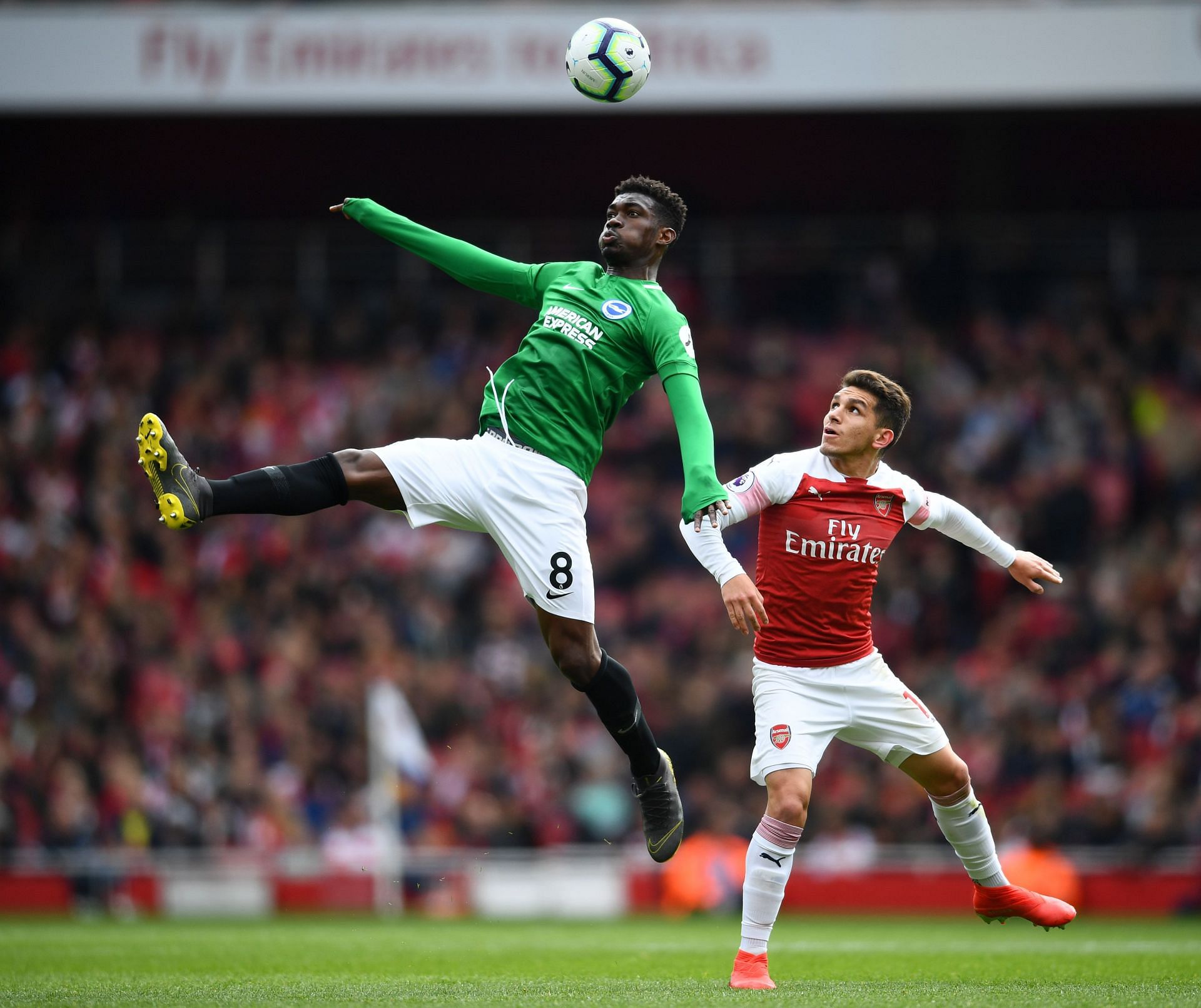 Arsenal FC v Brighton & Hove Albion - Premier League